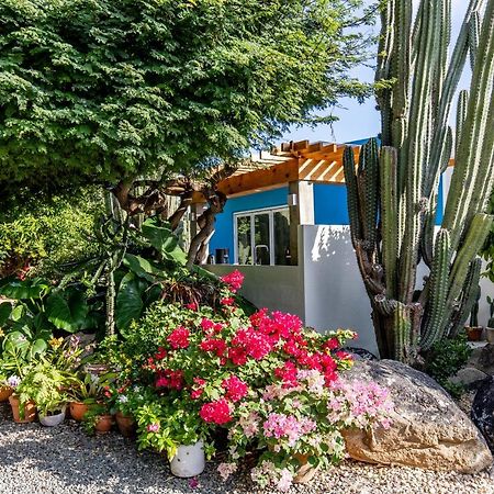 Naima Luxury Home, Cottage & Apartment Rentals Парадера Экстерьер фото