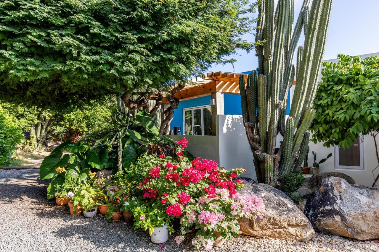 Naima Luxury Home, Cottage & Apartment Rentals Парадера Экстерьер фото